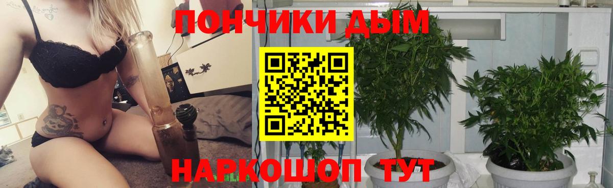 Ачинск  Бошки Шишки индика  Марихуана LSD WEED  Вход с VPN  Канабис планчик 